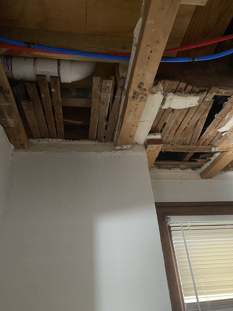 Slide of LC Levy Empire Restoration