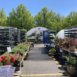 High Country Growers