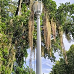 The Historic 1926 White Way Lights