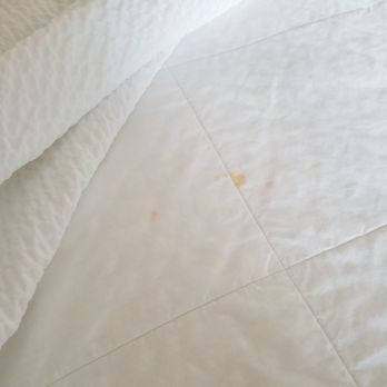 SpringHill Suites by Marriott Cleveland Solon - Another stain - Hotels Near Me - Solon, Ohio