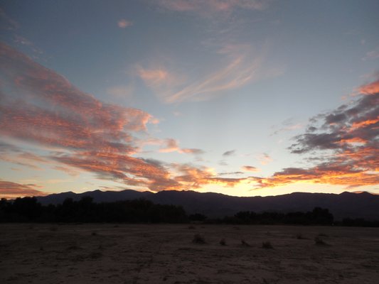 Furnace Creek Campground by null