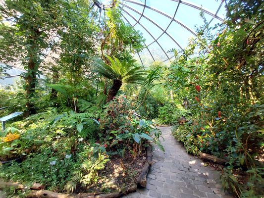 Botanical Garden by null