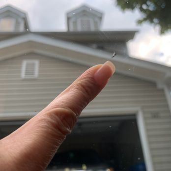 Superb Windshield Repair - This tiny chip was within the driver's critical view area. We were able to properly repair it for $75 instead of replacing. - Auto Glass Services Near Me - Atlanta, Georgia