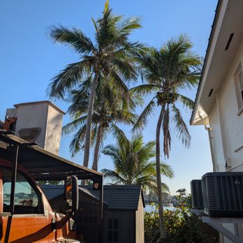 Aim To Please Landscapes - Tree Services Near Me - Naples, Florida Aim To Please Landscapes - Tree Services Near Me - Naples, Florida