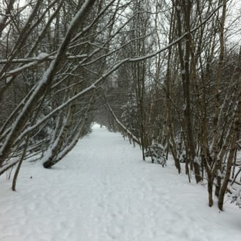 Long Lake Provincial Park - Dog Parks Near Me Long Lake Provincial Park - Dog Parks Near Me