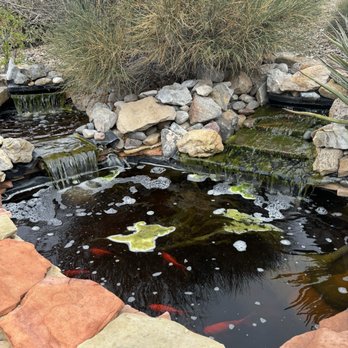Pond Doctor - The BEFORE of my pond. Yuck! - Landscape Architects or Designers Near Me Pond Doctor - The BEFORE of my pond. Yuck! - Landscape Architects or Designers Near Me