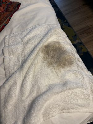 Ashworth by the Sea by null