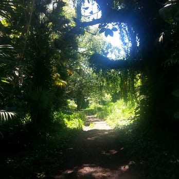 Moanalua Valley Trail - Hiking Near Me - Moanalua, Hawaii Moanalua Valley Trail - Hiking Near Me - Moanalua, Hawaii