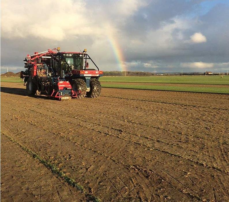 NASHVILLE SOD SUPPLY Updated July 2024 Loretto, Ontario Professional Services Phone