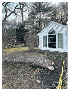 Village Home Services Logo