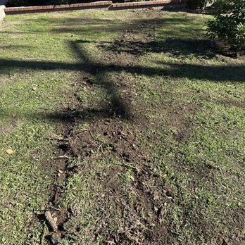 Western Rooter - replaced grass and soil - Plumbing Near Me - Arcadia, California