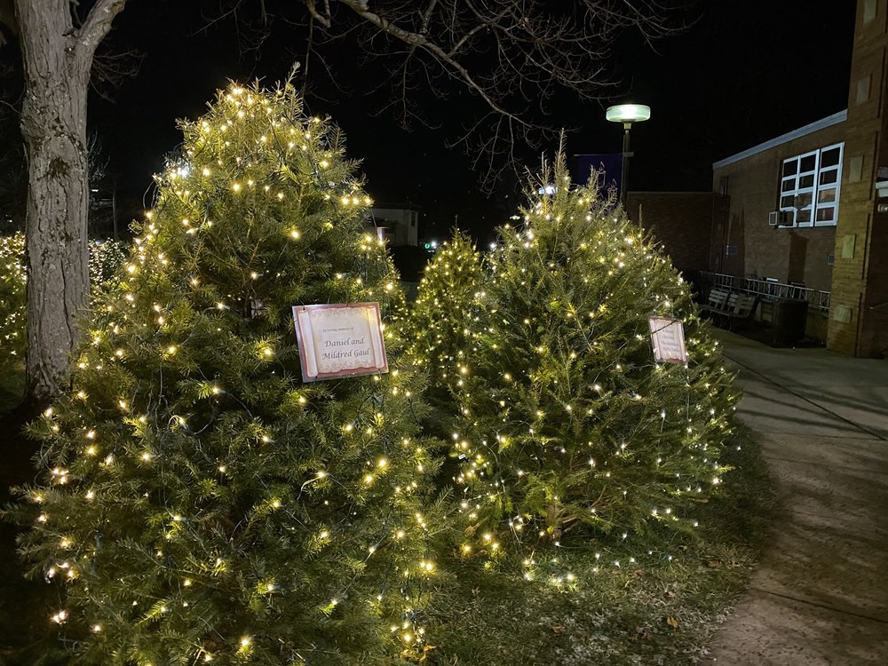 IMMACULATE CONCEPTION R C CHURCH Updated August 2024 10 Photos 35