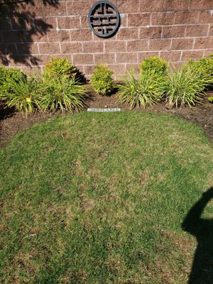 Jimi Hendrix Memorial by null