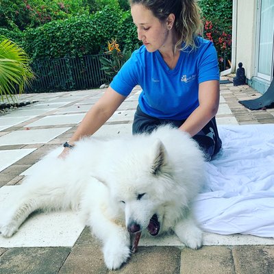 South Paw Massage & Wellness - Home of the Vero Beach Canine Country Club