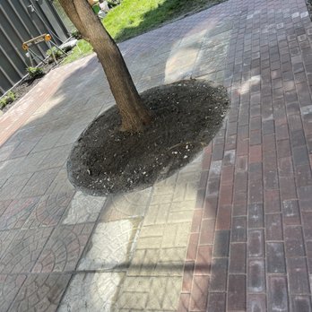 RLG Landscaping - Paver patio - Landscaping Near Me - Berwyn, Illinois RLG Landscaping - Paver patio - Landscaping Near Me - Berwyn, Illinois