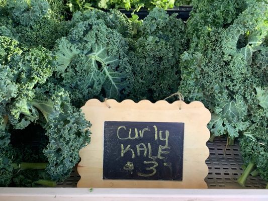 Gilbert Farmers Market by null