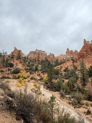 Mossy Cave Trailhead by null