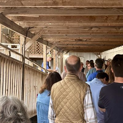 City Limits Barbeque by null