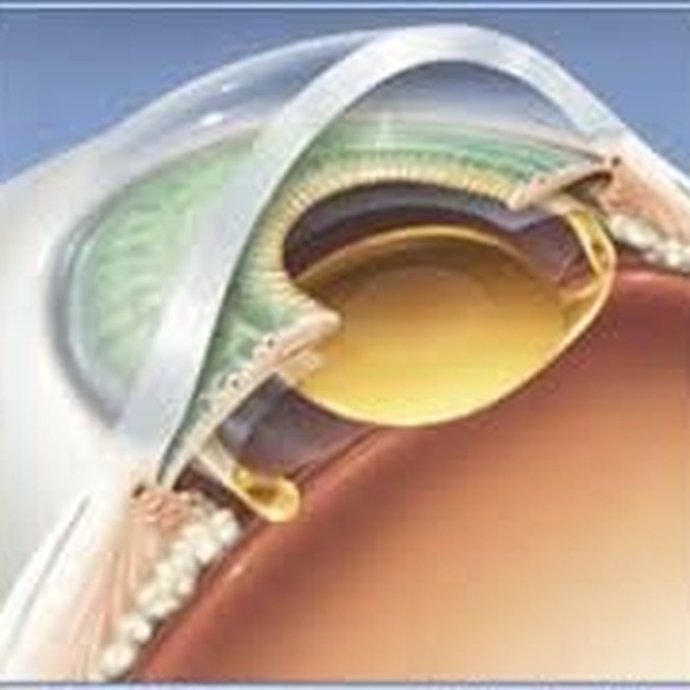 THE BEST 10 DOCTORS in JUAN ALDAMA, CHIHUAHUA, MEXICO - Updated 2026 -  Hours - Yelp