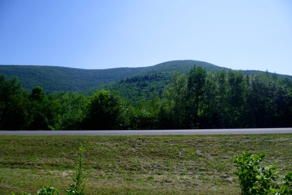 Phoenicia Diner by null Phoenicia Diner by null