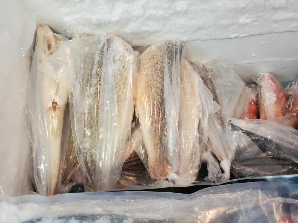 JAYCON GROCERY STORE Updated September 2024 17 Photos 519 5th St