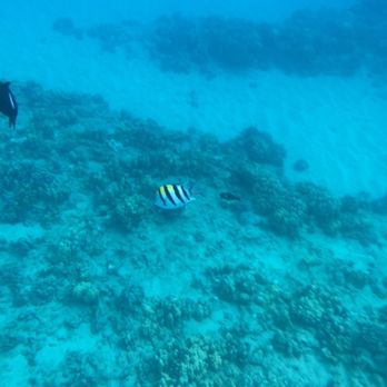 MANA Cruises & Charters - Snorkeling - Boat Tours Near Me - Kapolei, Hawaii MANA Cruises & Charters - Snorkeling - Boat Tours Near Me - Kapolei, Hawaii