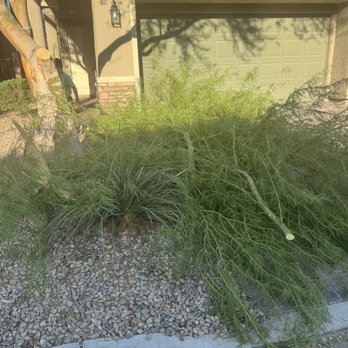 Quality Roots - Tree Services Near Me - Las Vegas, Nevada Quality Roots - Tree Services Near Me - Las Vegas, Nevada