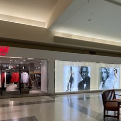 H & M