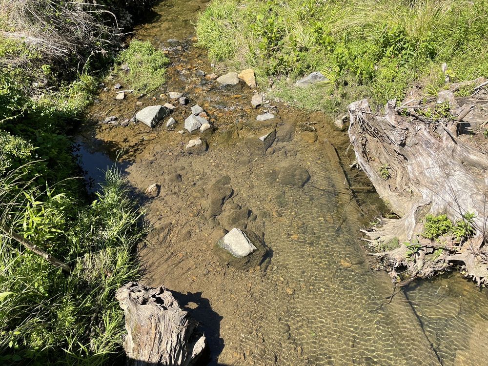 SOLDIERS DELIGHT Updated September 2024 31 Photos & 11 Reviews