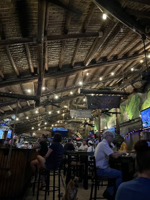 Green Iguana Bar & Grill by null