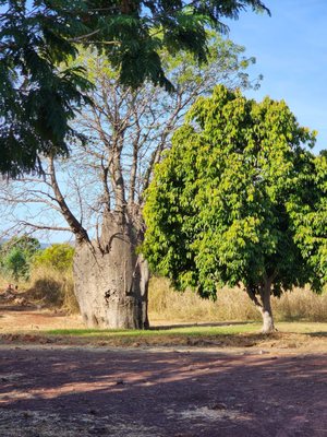 Home Valley Station by null