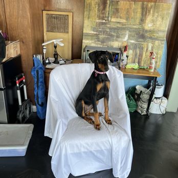 Bayview Veterinary Center - Why wud anyone abandon this baby girl? - Veterinarians Near Me - San Diego, California Bayview Veterinary Center - Why wud anyone abandon this baby girl? - Veterinarians Near Me - San Diego, California