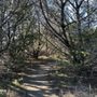 Photo of Acton Nature Center