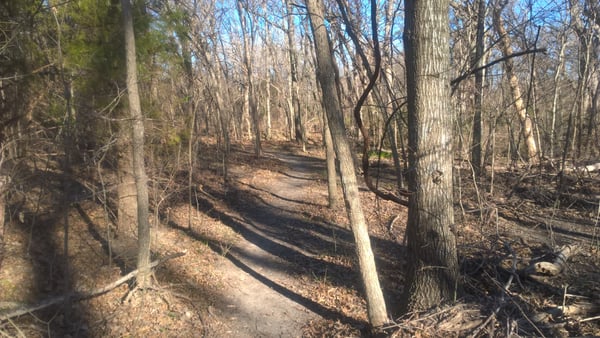 Spring Creek Forest Preserve by null