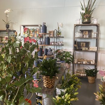 Julia's Florist - Florists Near Me - Wilmington, North Carolina