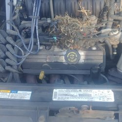 Beckett's Auto Service - Gotta love that dead baby rat! I know they climb in to get warm well that one got real toasty!
