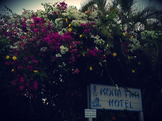 Kona Tiki Hotel by null