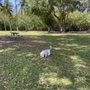 Photo of David T. Kennedy Park