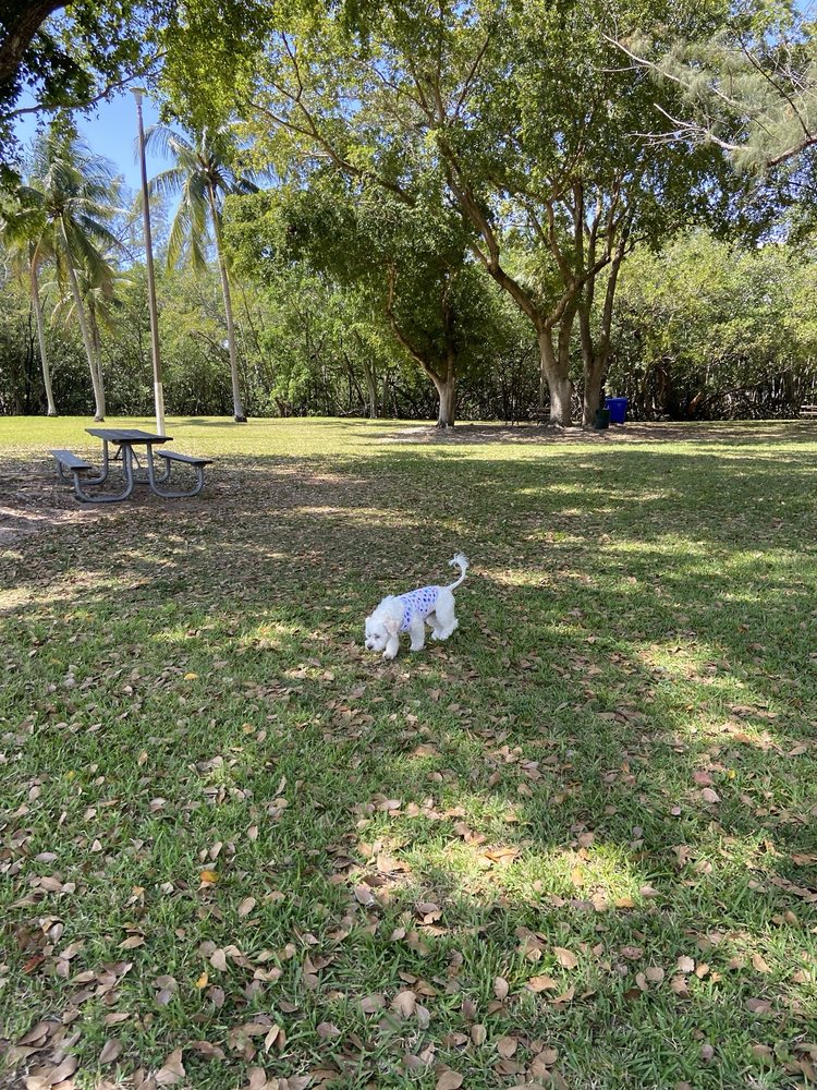 David T. Kennedy Park Image