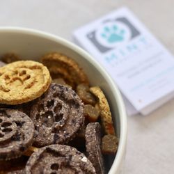 Mint Creative Co - Pet-friendly Branding and Creative Services