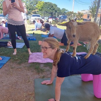 Fun With Goats - Attraction Farms Near Me - Moyock, North Carolina Fun With Goats - Attraction Farms Near Me - Moyock, North Carolina