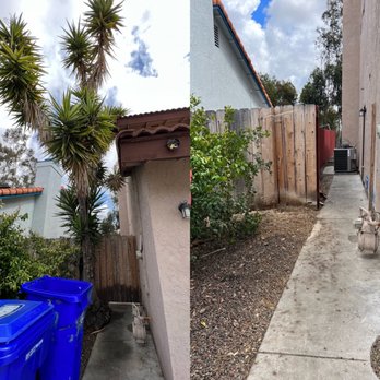 Active Landscape And Tree Service - Yucca - Tree Services Near Me Active Landscape And Tree Service - Yucca - Tree Services Near Me