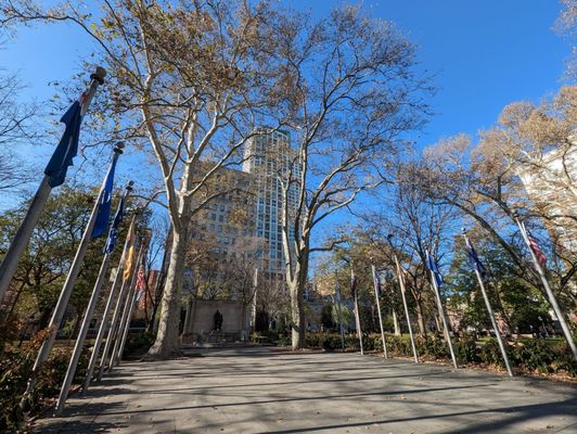 Washington Square by null
