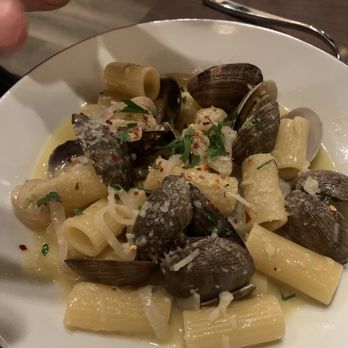 Ofena - Rigatoni with clams - Italian Near Me - San Francisco, California Ofena - Rigatoni with clams - Italian Near Me - San Francisco, California