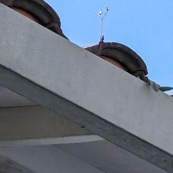 FMJ Windows & Gutter Cleaning Service - I had weeds growing out of my gutters! Francisco fixed it!