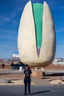 McGinn's PistachioLand by null