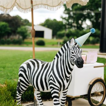 DE Wayne Events - Life size Zebra and Paleta Cart rental - Bounce House Rentals Near Me