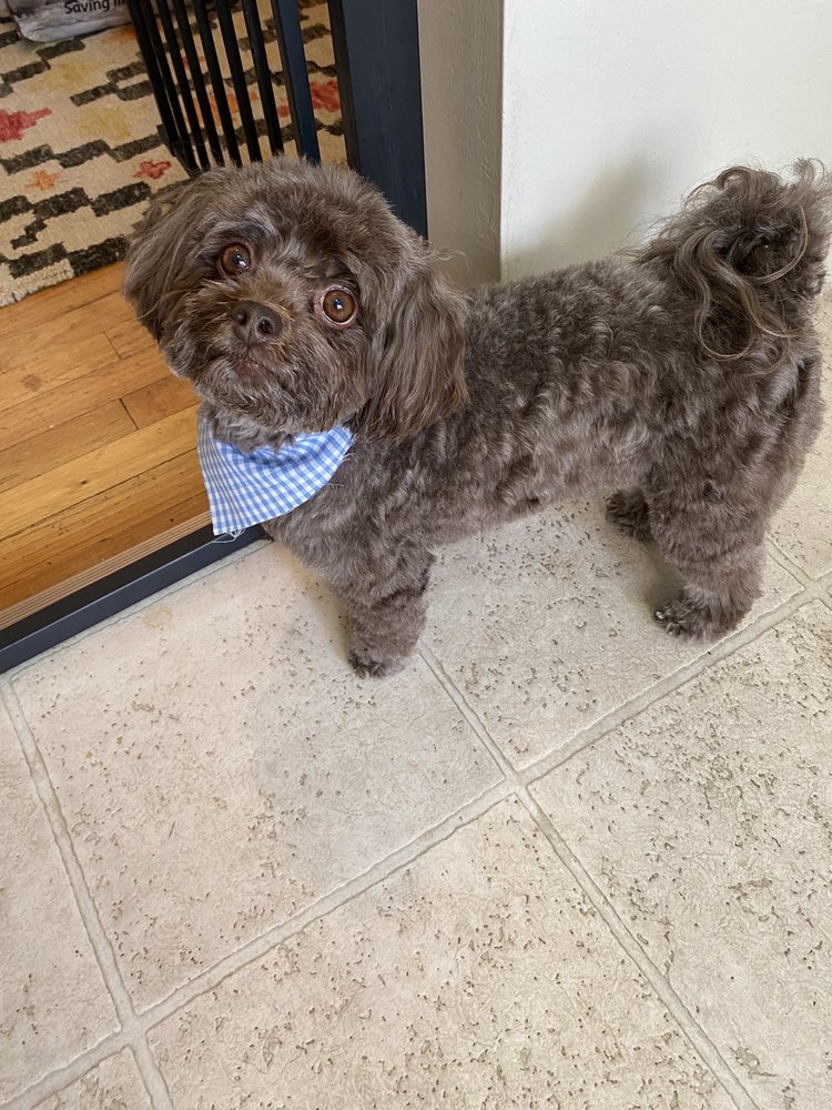 BEST FRIENDS PET HOTEL 19 Photos & 55 Reviews 269 Red Schoolhouse Rd, Chestnut Ridge, New