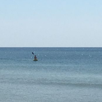 Go Go Kayaks - Rafting/Kayaking Near Me - Gulf Shores, Alabama Go Go Kayaks - Rafting/Kayaking Near Me - Gulf Shores, Alabama