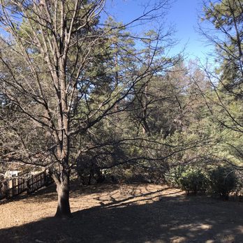 Idyllwild Vacation Cabins - Vacation Rental Agents Near Me - Idyllwild, California